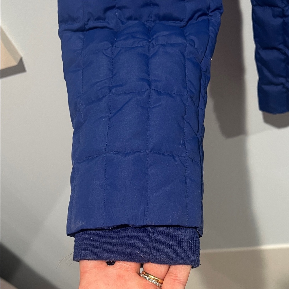 J.Crew Cobalt Blue Quilted Puffer Jacket Size Small Excellent Condition - Picture 6 of 8